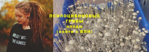 первитин Михайловск