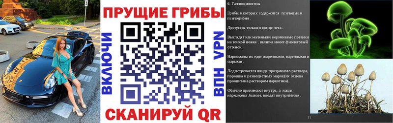 Галлюциногенные грибы Magic Shrooms  Слюдянка 